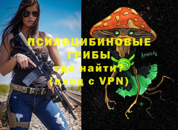 2c-b Абдулино